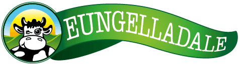 Eungelladale_wide_banner